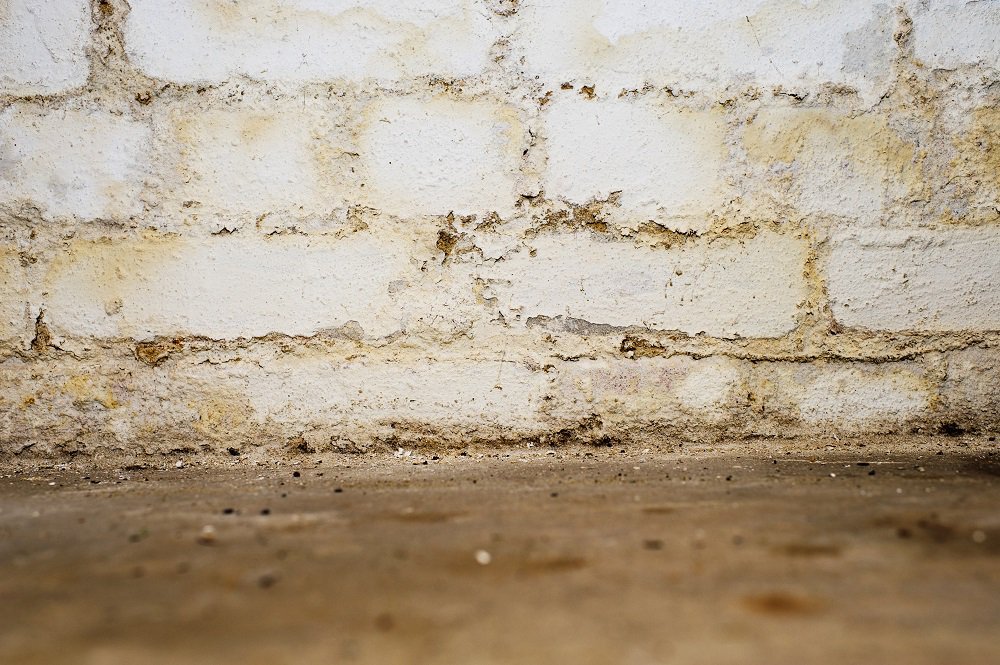 An example of a damp basement floor as a result of leaking water.